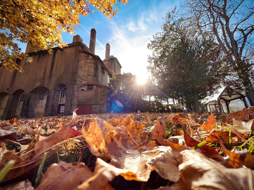 The sun sets behind trees on a fall day, with a large concrete mansion in the center of the image, with fallen leaves in the foreground. The building is Fonthill Park, in Doylestown, PA.